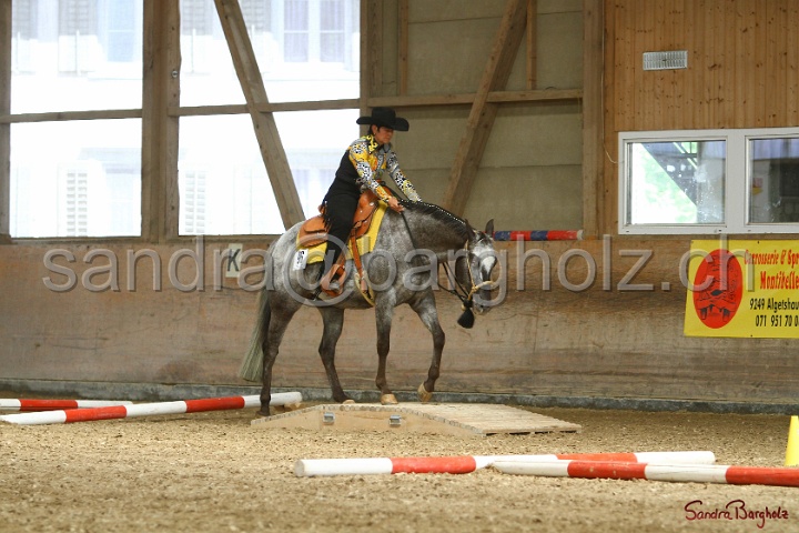 26-ApHC GT_233.jpg